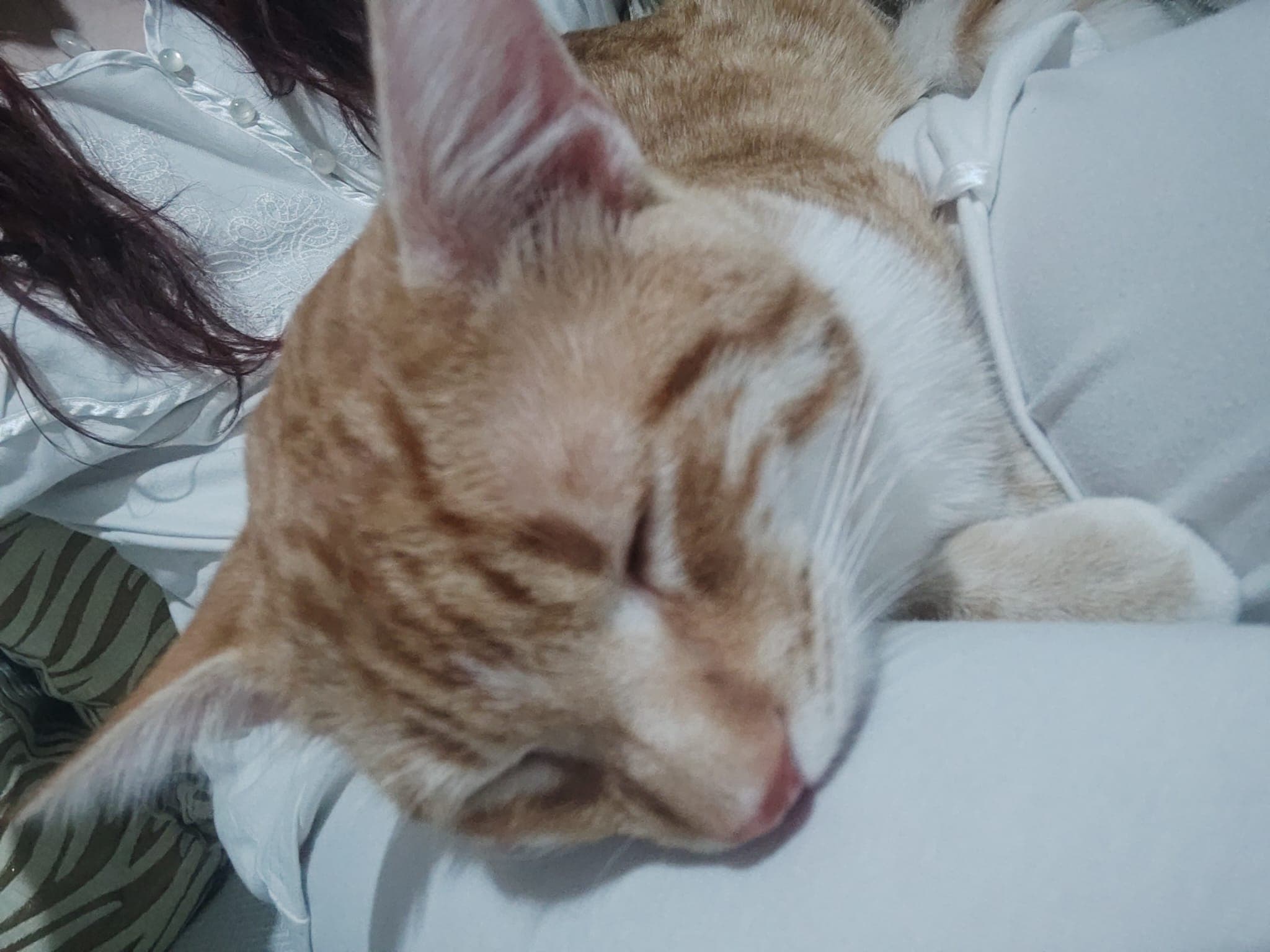 Eylül