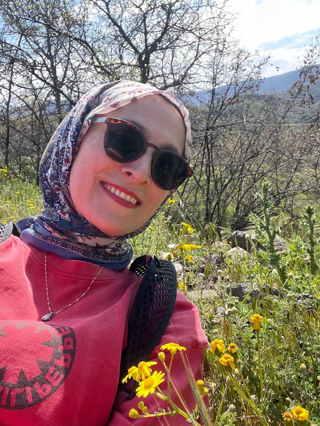 KIR ÇİÇEKLERİ